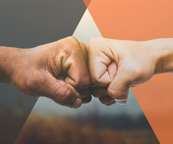 OEM Partnerships Support Marketing Efficiency and Excellence